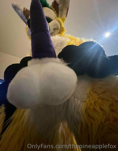 fans en fauteuil roulant uniquement nus hd galerie