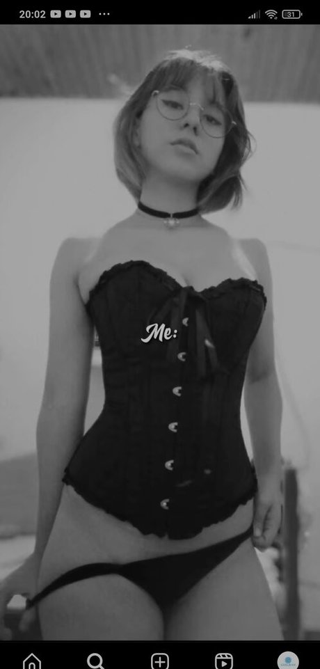 Laridoml étoile hd image