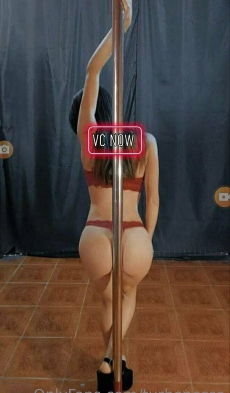 turbonessa actrice image