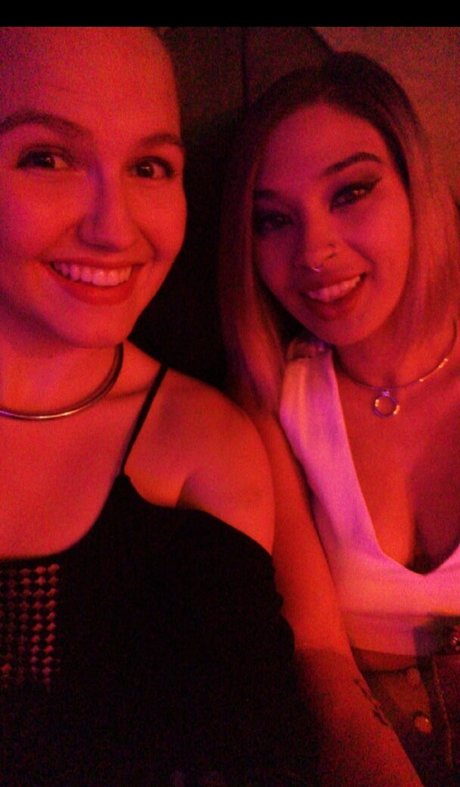 panda pop10 modèle collection