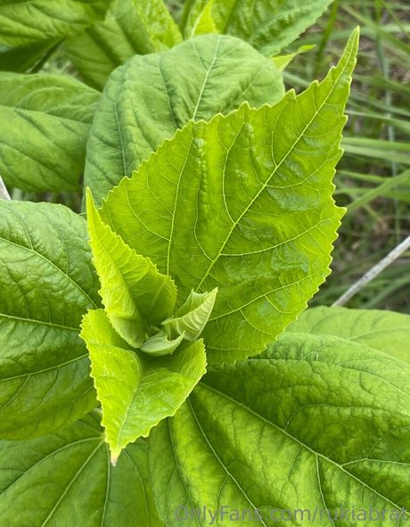 rukiabrat actrice chaude photos