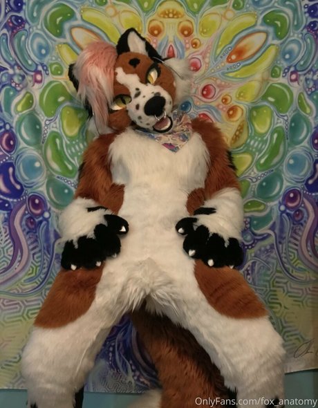 fellation transexuelle onlyfans xxx haut photo