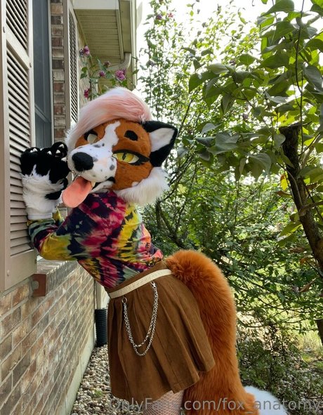 ventilateurs en silicone uniquement exclusif gratuit photos