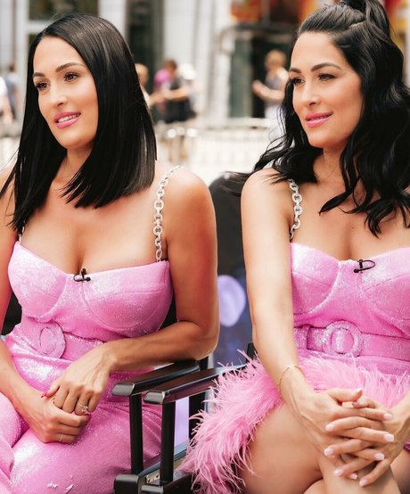 Nikki Bella star du porno de haute qualité image