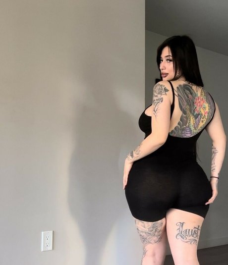 Luzcmun étoile parfaite galerie