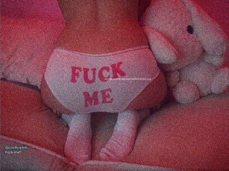 Coelho__pink beau modèle galeries