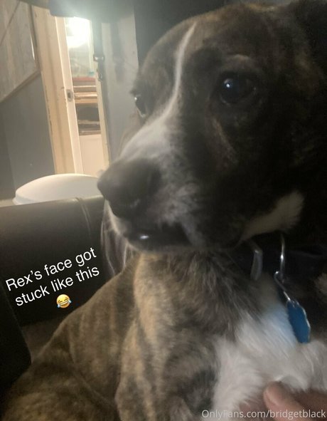 bridgetblack modèle exclusif collection