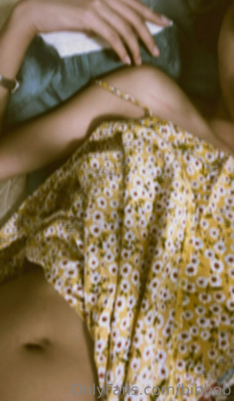 bibbob modèle hd collection