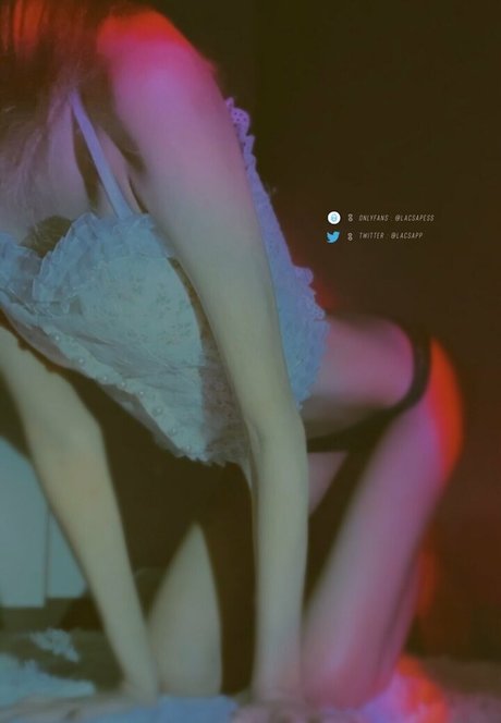 bibbob modèle hd des photos