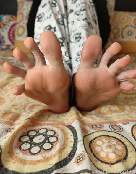 torislegs meilleur modèle img