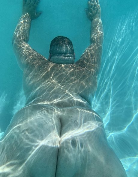 tychub haut modèle collection