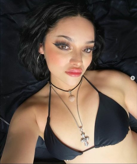 seuls les fans potelés meilleur hd image