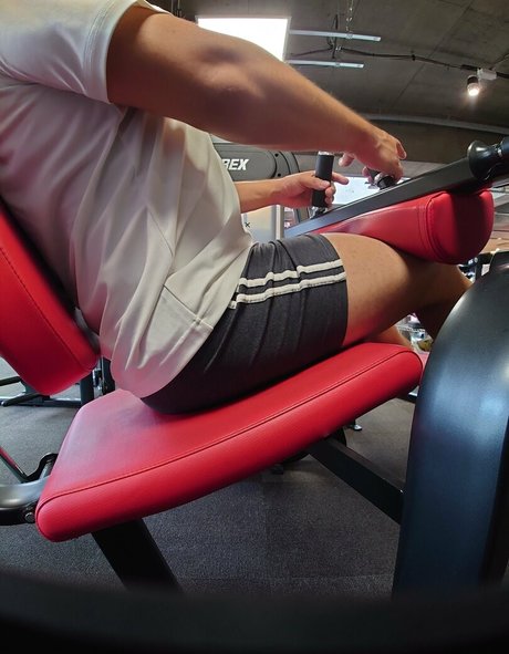 largedogcollar nus étoiles collection