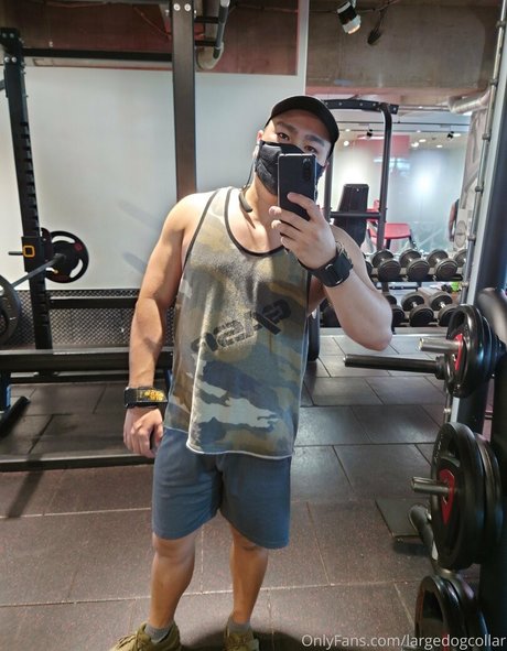 largedogcollar actrice parfaite galerie