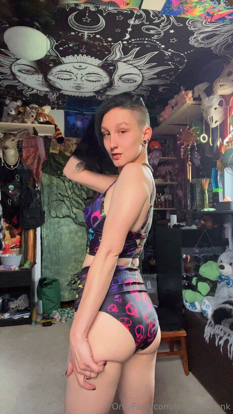 Leather Punk joli modèle photo