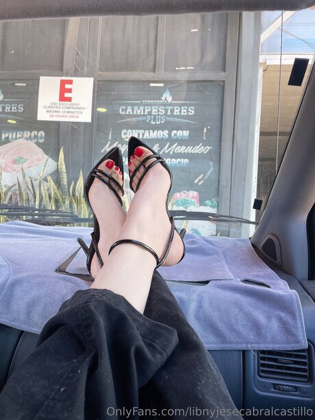 Libnyjesecabralcastillo modèle parfait galeries