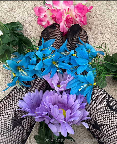 Goddessalexarayne haut modèle galeries