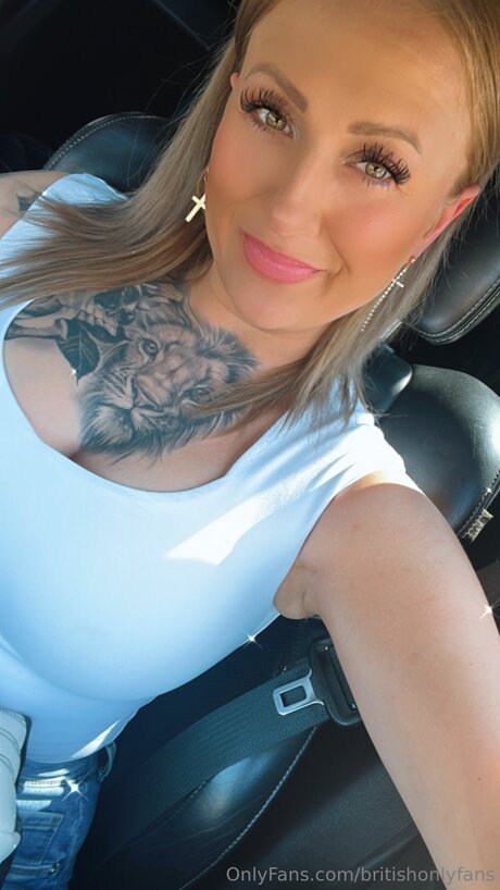 Occ Coaching nus étoiles collection