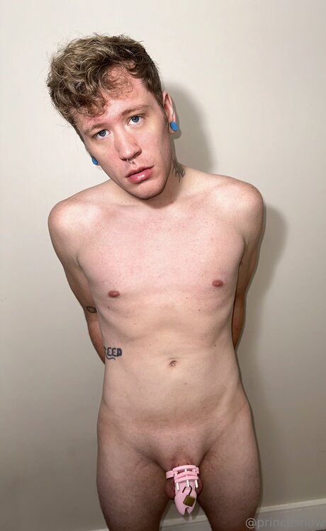 Princecsart art modèle img