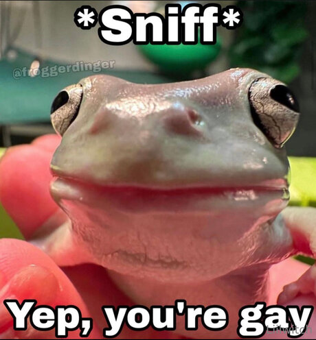 Liilwitch star du sexe img