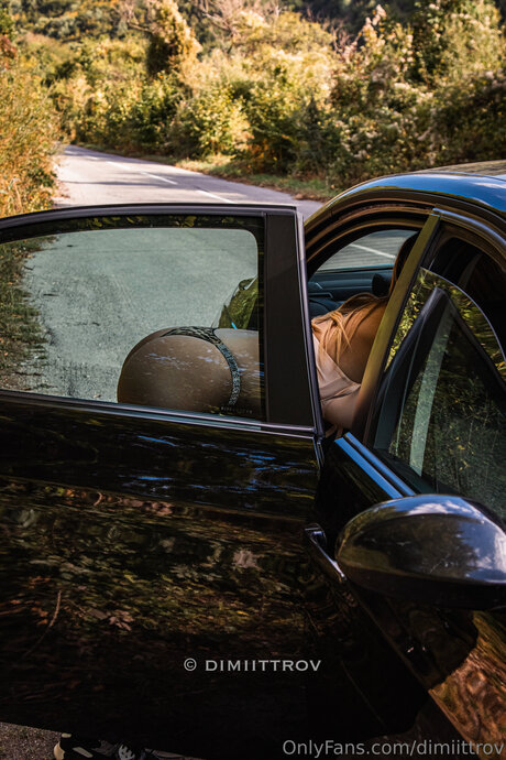 Dimiittrov nus étoiles images