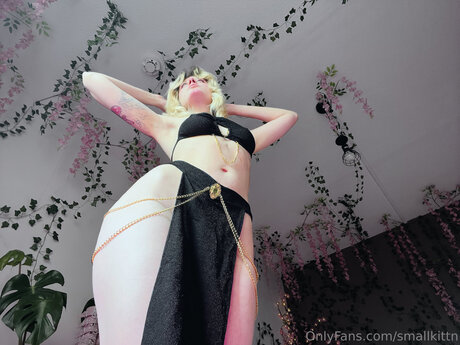 My Blushy Kittn Free modèle hd photos