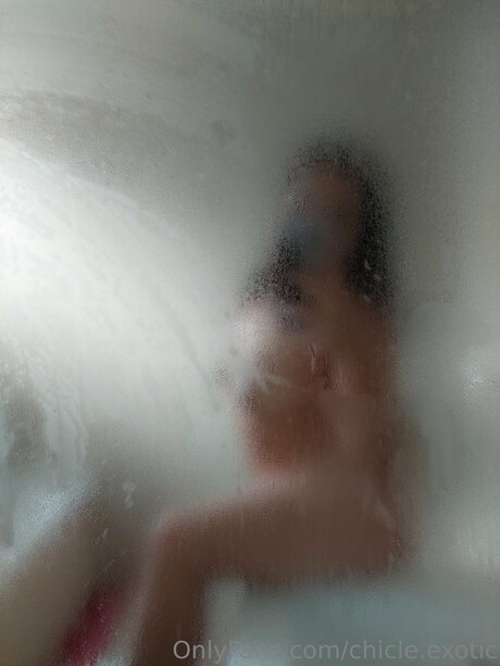 Chicle Exotic meilleure étoile photos