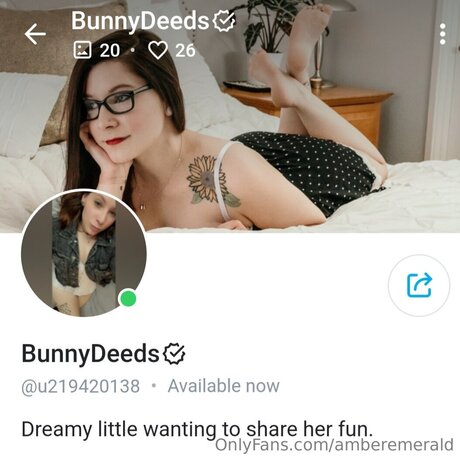 Amberemerald modèle parfait collection