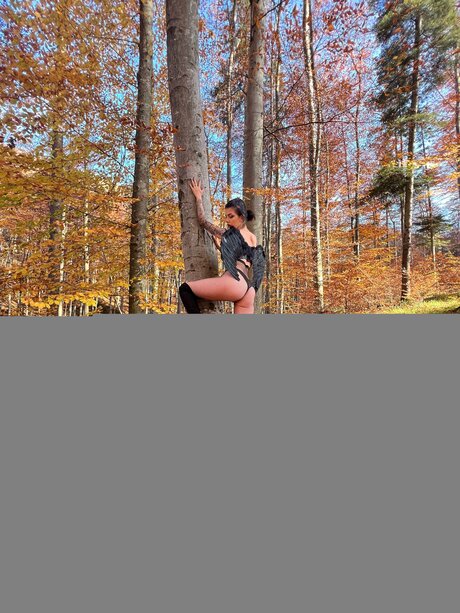 Valentinagoleafree étoile exclusive image