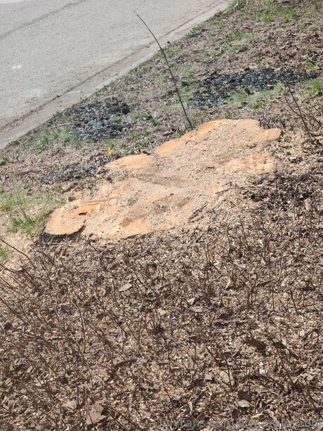 fitness body onlyfans belle hd img