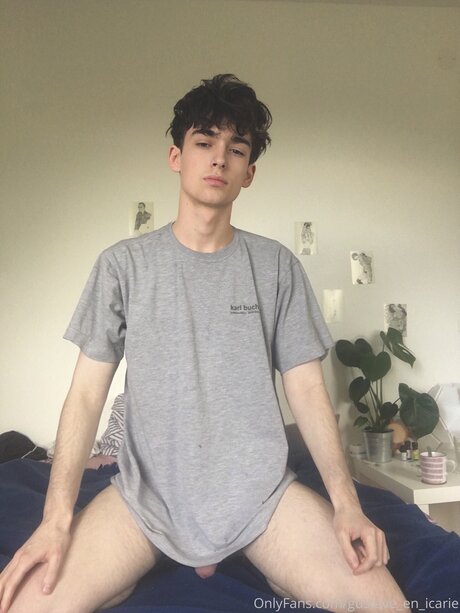 Gustave En Icarie belle étoile image