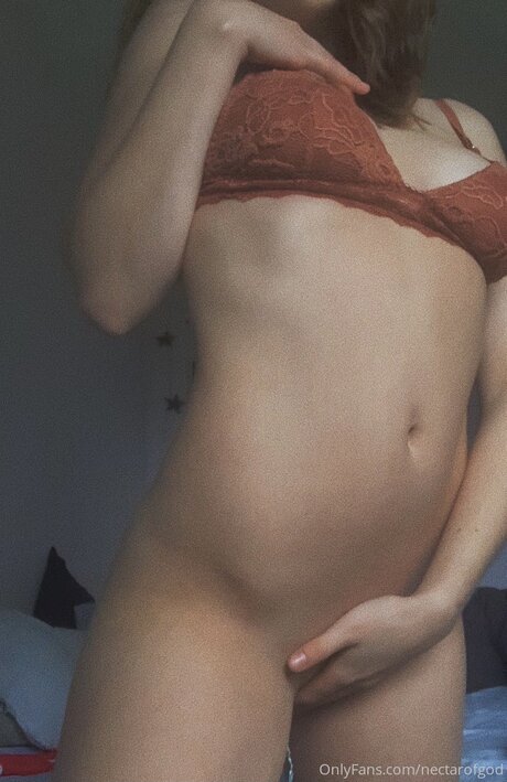 Nectarofgod étoile adulte image