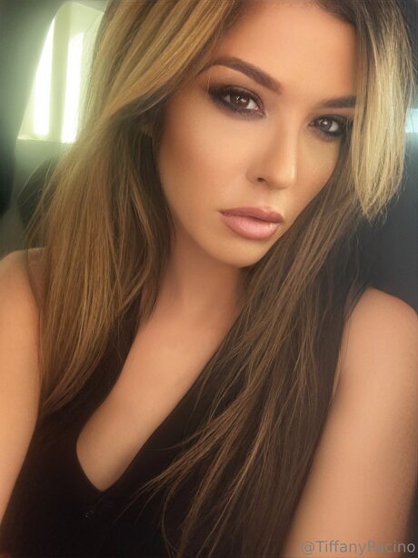 Discotacos étoile gratuite galeries