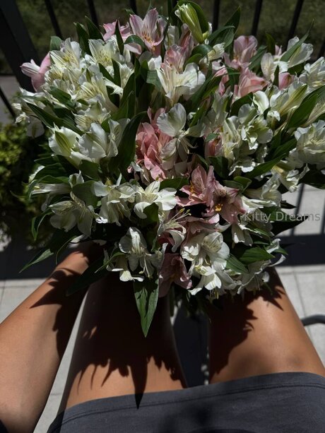 Kitty Dreams Vip modèle nu images