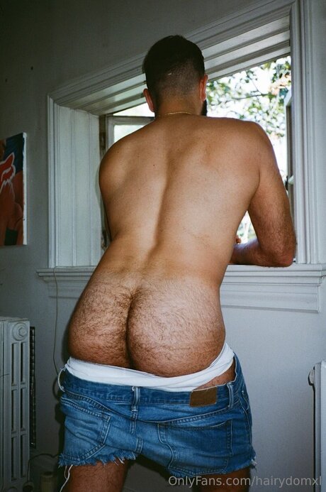 Hairydomxl meilleure actrice collection