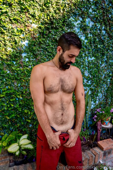 Dexterdexter haut étoile galerie