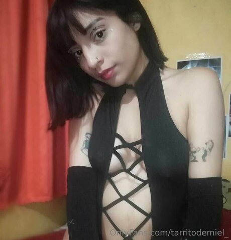 Tarritodemiel étoile adulte photo