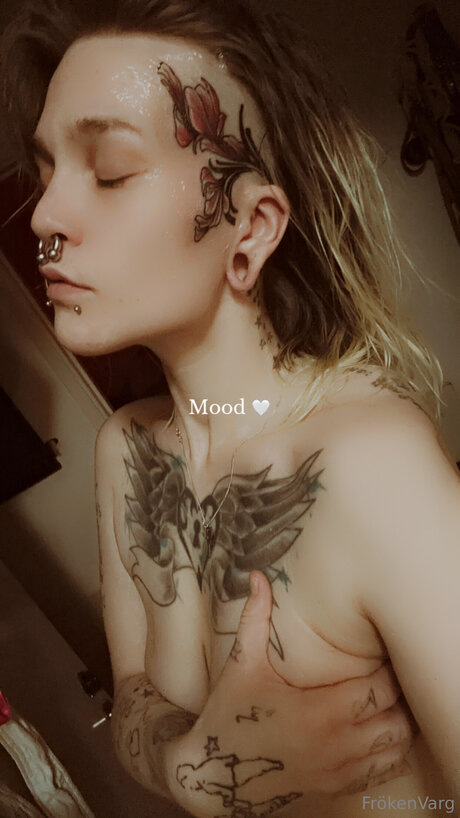 Frokenvarg étoile gratuite img