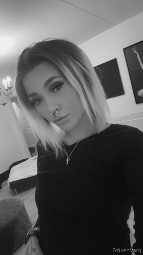 Frokenvarg nus étoiles photo