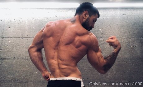 Marcus1000 étoile exclusive img