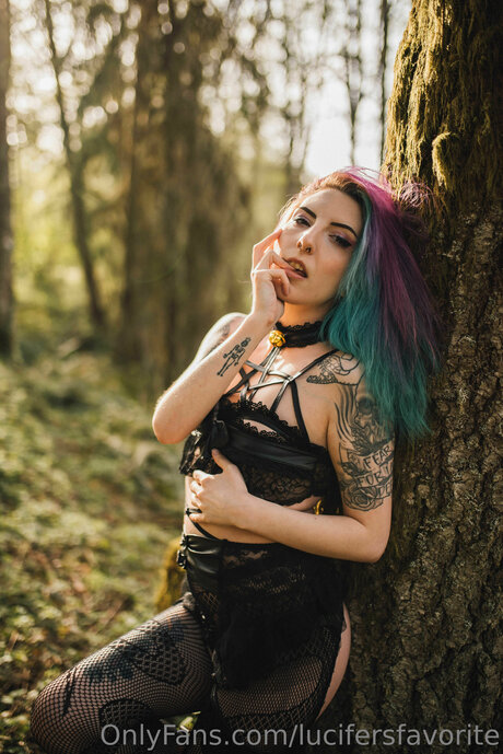 chaton courbé onlyfans chaud xxx galeries