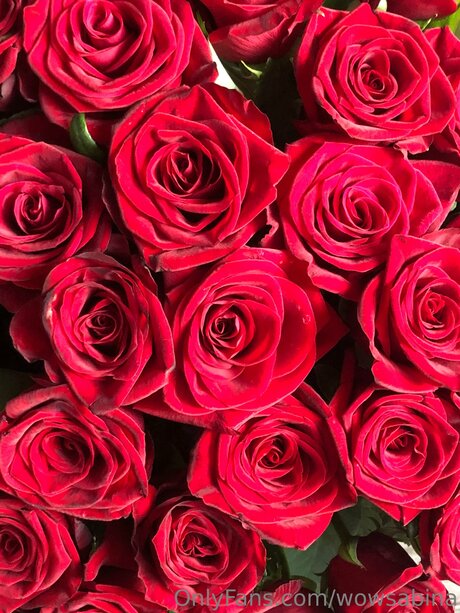 ventilateurs corporels uniquement plutôt sexy image