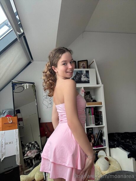 chaton potelé uniquementfans meilleur photos