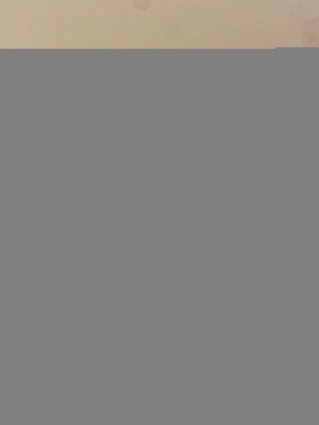 Resilvafree sexe de star du porno galerie