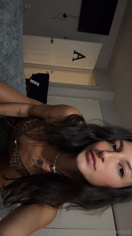 Rickirosee modèle de sexe collection