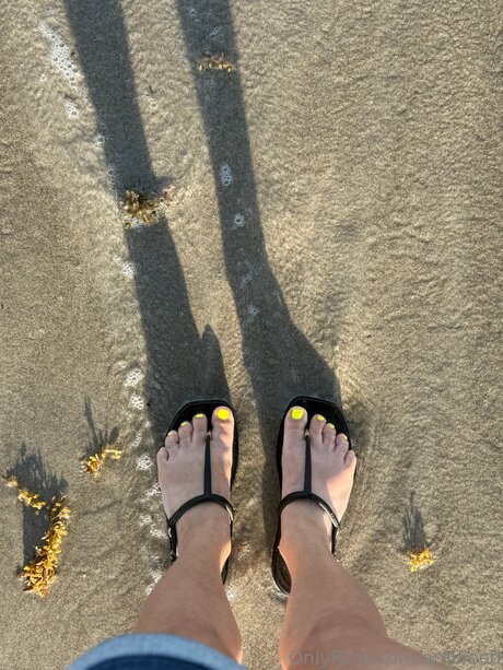 Ambieed modèle parfait archive