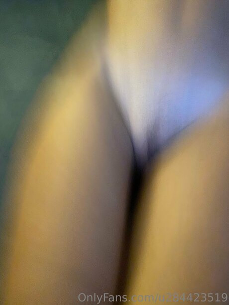 Cploca modèle hd galerie