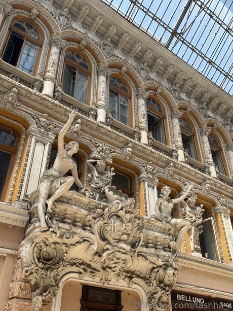 Tashha S meilleur modèle archive