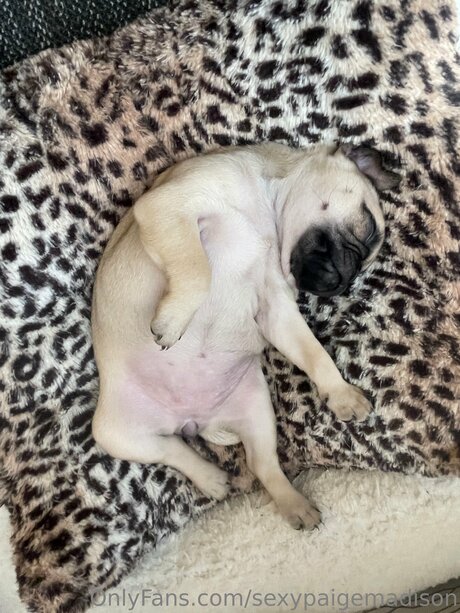 Sexypaigemadison haut modèle collection