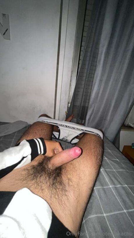 Oteupikachu art étoile des photos